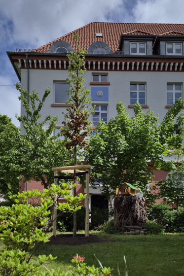 Baum pflanzen (2)