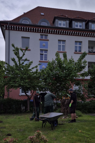 Baum pflanzen (6)