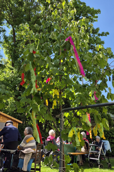 Maibaum schmücken (2)